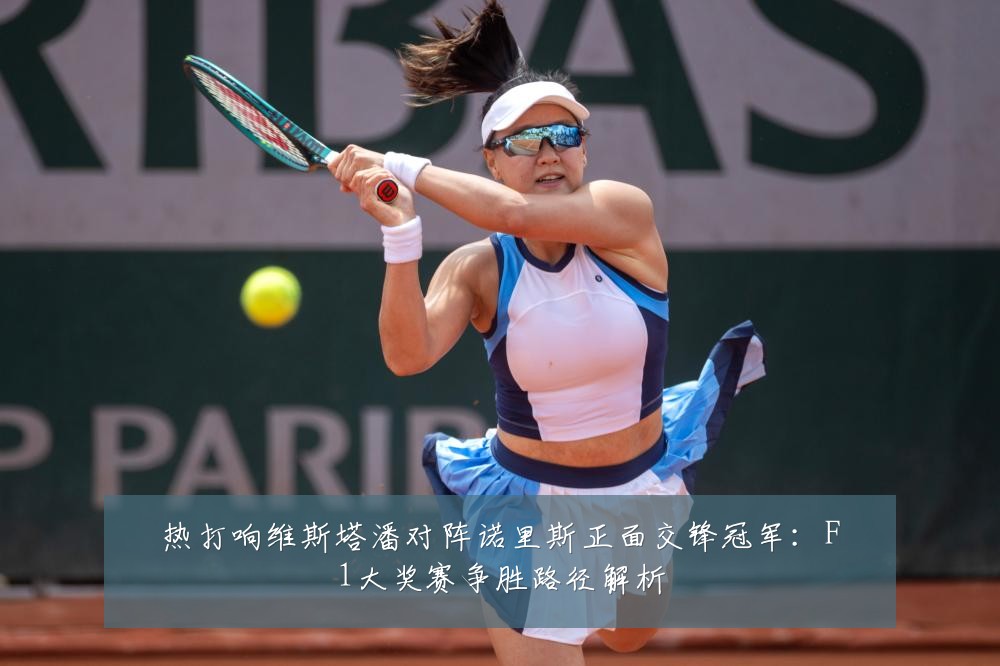 热打响维斯塔潘对阵诺里斯正面交锋冠军：F1大奖赛争胜路径解析